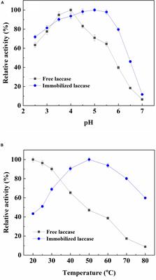 Immobilization of Laccase on Magnetic Chelator Nanoparticles for Apple Juice Clarification in Magnetically Stabilized Fluidized Bed